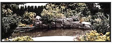 pool surrounded by natural rocks