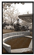 Sitting area in modern garden